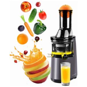 Espremedor Moedor Frutas Legumes 250W 40, 50 RPM Antioxidante, 110v, KOOLWOOM, Prateado