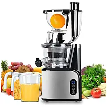 Aobosi Espremedor Moedor Frutas Legumes 110V 60 RPM