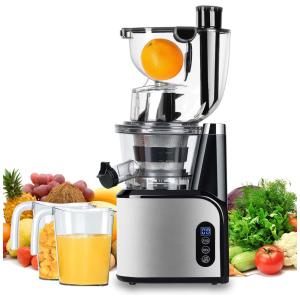 Aobosi Espremedor Moedor Frutas Legumes 110V 60 RPM