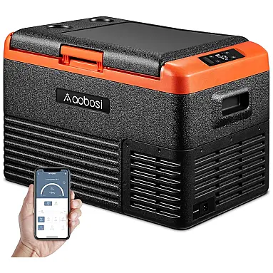 Cooler Elétrico Automotivo Portátil 30