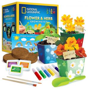 Kit de Jardinagem de Flores e Ervas – Brinquedo Educativo STEM, Cultive em Casa com Potes Decoráveis, Presente Criativo, National Geographic