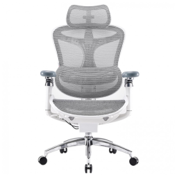 Cadeira Ergonômica de Escritório SIHOO Doro C300 Pro Cinza, Braços 6D Ultra Macios, Apoio Lombar Adaptativo, Assento Ajustável