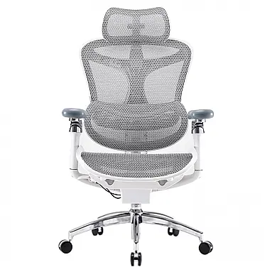 Cadeira Ergonômica de Escritório SIHOO
