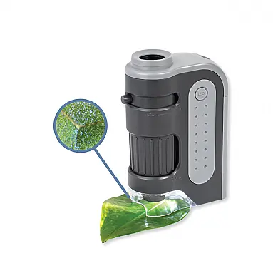 Microscópio de Bolso Iluminado por