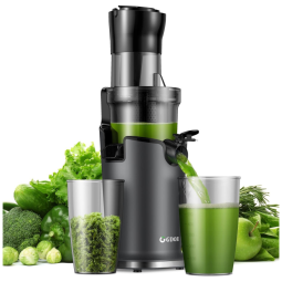 Centrifuga de Frutas a Frio com Calha de Alimentação de 8 cm, Motor Potente e Fácil de Limpar, 110V 150W, GDOR, Cinza