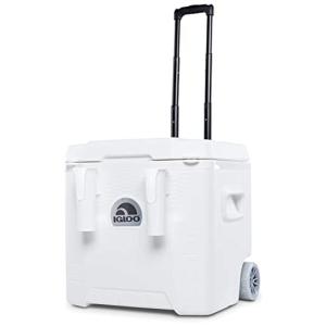 Cooler Térmico 50L com Desempenho Profissional e Rodas, IGLOO, Branco
