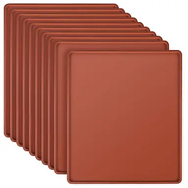 Bandejas Silicone Desidratador TAICHEUT Marrom