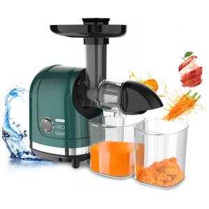 Centrifuga de Frutas e Legumes com Motor Silencioso, 110V, LUFVEBUT, Verde