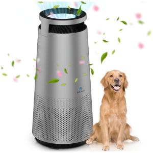 Purificador de Ar com Filtro True HEPA H13, Área até 20 m2, DH Lifelabs, Cinza