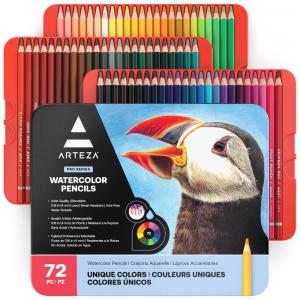 Kit Lápis de Cor Profissional com Estojo 72 peças, ARTEZA