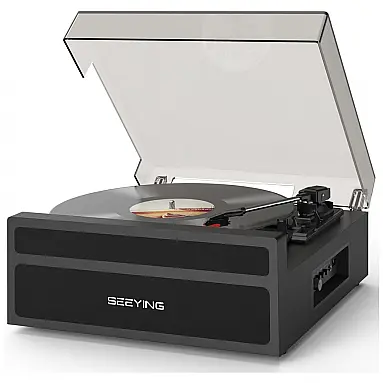 Toca Discos de Vinil com