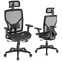 Cadeira de Escritório Ergonômica Giratória com Apoio de Braços 2D, SUNNOW, Preto