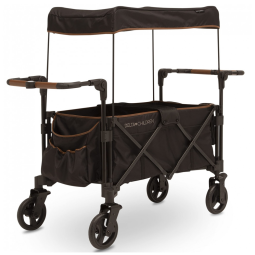 Carrinho de Passeio para 2 Crianças Multifuncional com Porta Objeto, até 50 kg, Delta Children, Preto e Marrom