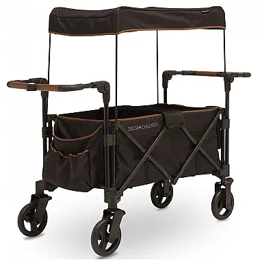 Carrinho de Passeio para 2