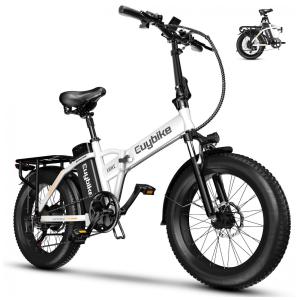 Bicicleta Elétrica Dobrável bluebiko F6B com Motor Brushless 750W (Pico 1000W), Bateria Removível 48V 20Ah, Freios a Disco Duplos e Sistema