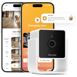 Câmera Wi Fi Remota 1080p HD com Visão Noturna e 2 Saídas de Áudio, PETCUBE, Branco