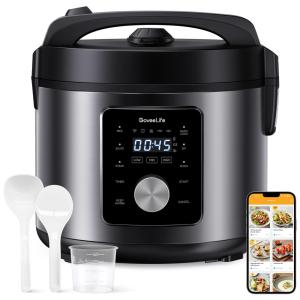 Panela de Arroz Elétrica Multiuso 6 em 1, 4,9L com Vaporizador e APP de Receitas, 110V 1000W, GoveeLife, Prata