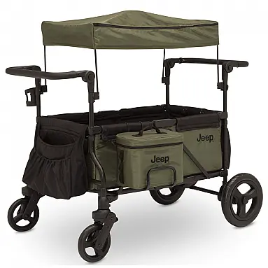 Carrinho de Passeio para 2