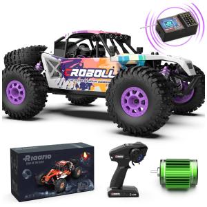 Carrinho de Controle Remoto Off Roud, Escala 1:12 com Velocidade até 72 km/h, Amortecedores Cheios de Óleo e ESC Independente, RIAARIO