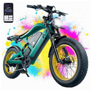 Bicicleta Elétrica SMARTRAVEL ZM22 20" Verde | Motor 1200W, Bateria 48V 20Ah, Suspensão Dupla, Freios a Disco, Câmbio Shimano 7V, GPS e LCD