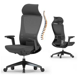 Cadeira de Escritório Ergonômica Giratória com Apoio de Braços 3D e Suporte Lombar Ajustável, FANMEN, Preto
