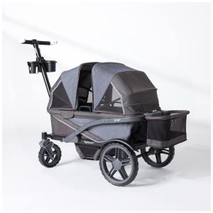 Carrinho de Passeio Vagão Off Road para 2 Crianças com Porta Copos e Armazenamento, Gladly Family Anthem2, Cinza Grafite