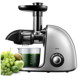 Espremedor de Frutas com 2 Modos de Velocidade, Fácil de Limpar e Motor Silencioso, 350W, HOUSNAT, Prata