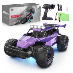 Carrinho de Controle Remoto Escala 116 para Adultos e Crianças com Bateria Recarregável, Roxo, LARVEY, Violeta