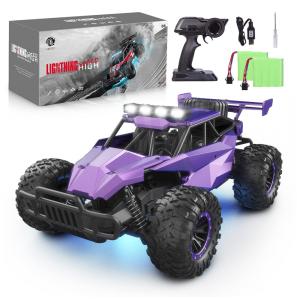 Carrinho de Controle Remoto Escala 116 para Adultos e Crianças com Bateria Recarregável, Roxo, LARVEY, Violeta