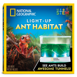 Kit Terrário Iluminado – Brinquedo Educativo STEM “Monte Seu Mundo Dino”, DIY Plantas + Fósseis + Presente Criativo para Crianças