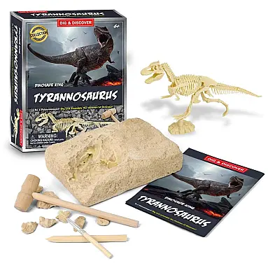 DIG DISCOVER Kit de Escavação