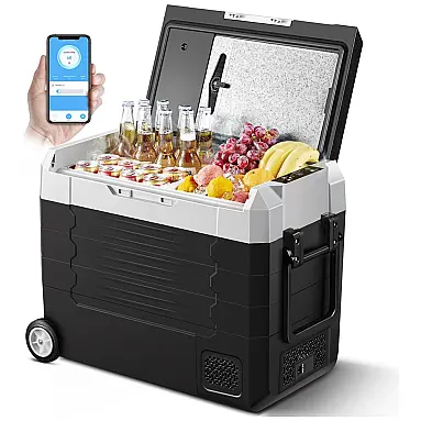 Cooler Elétrico Automotivo Portátil 55