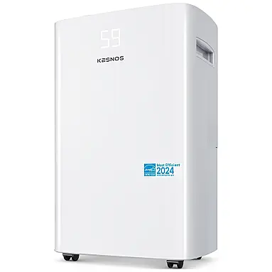 Desumidificador 40L com Mangueira de