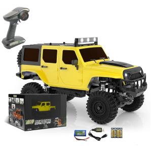 Carrinho de Controle Remoto Off Road 4WD, Escala 118, Idade Recomendada 14, PANDA HOBBY Tetra X1, Amarelo