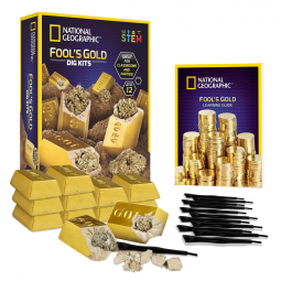National Geographic Fool’s Gold Dig Kit Party Pack – 12 Gold Bar Dig Bricks com 2-3 Especimens de Pirita, Kit Educacional STEM para
