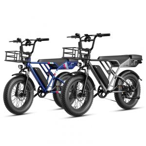 Bicicleta elétrica Jasion RetroVolt cinza-azul, pneus 20x4, motor 750W pico 2000W, bateria 48V 13Ah, 7 marchas, suspensão dupla