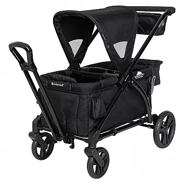Carrinho de Passeio para 2