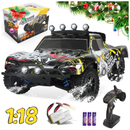 Carrinho Off Road Controle Remoto 4x4 até 40 km/h, Recomendado para +14 anos