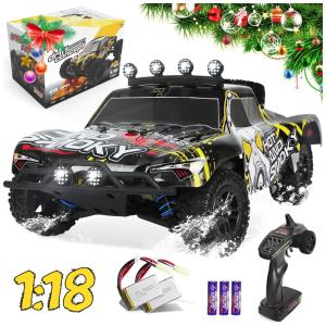 EP Carrinho de Controle Remoto Off Road até 40 km, h, Tração 4 x 4, Idade Recomendada 14