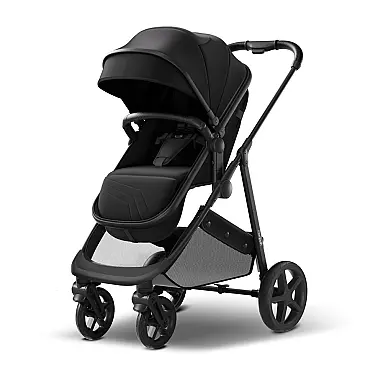 Carrinho de Bebê 2 em
