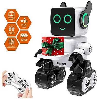 Robô Programável Inteligente PRANITE com