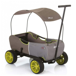 Carrinho de Passeio para 2 Crianças Multifuncional com Cobertura, até 54 kg, Hauck, Verde