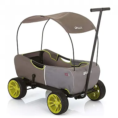 Carrinho de Passeio para 2
