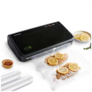Máquina Seladora a Vácuo Portátil e Automática, Aço Inoxidável, 110v, FOODSAVER FM2100 000, Preto