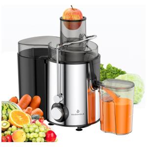 Centrifuga Espremedor Frutas Legumes 600W, 110v, EASEHOLD, Prateado