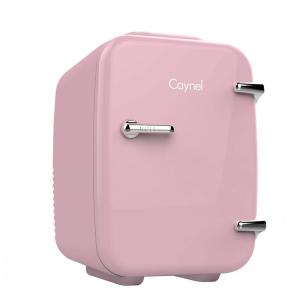 CAYNEL Mini Geladeira para Skincare 4 Litros Portátil, 110V, 12V