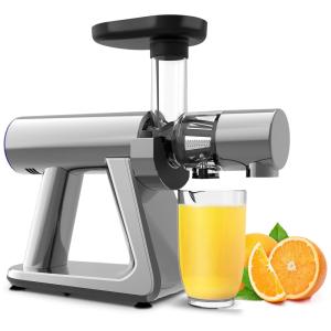 Centrífuga de Frutas com 2 Velocidades, Aço Inoxidável, Silencioso e Função Reversa, 110v, ZUUKOO, Prateado