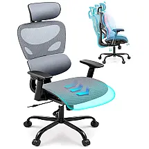Cadeira de Escritório Ergonômica com Apoio Lombar Ajustável, BNEHS, Cinza