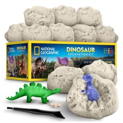 Dinosaur Dig Brick Set 30 Peças, Brinquedos STEM de Dinossauros que Brilham no Escuro, Kits de Escavação com Ferramentas e Guia Educativo
