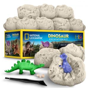 Dinosaur Dig Brick Set 30 Peças, Brinquedos STEM de Dinossauros que Brilham no Escuro, Kits de Escavação com Ferramentas e Guia Educativo